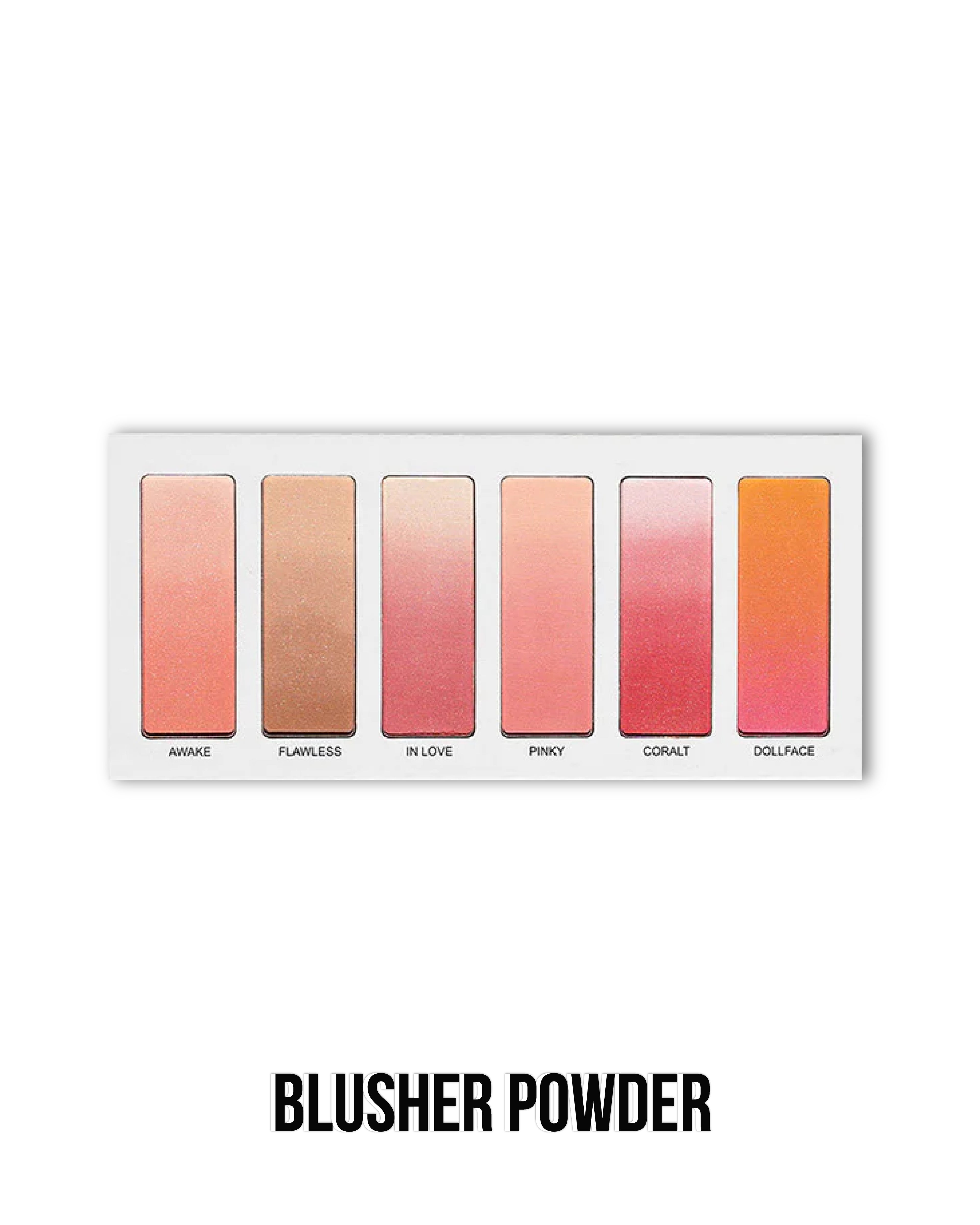 Cover All Concealer Palette