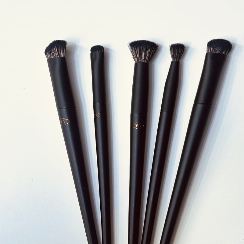 Professional Makeup Brushes Kit